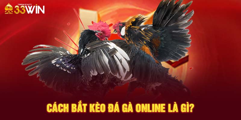 Cách bắt kèo đá gà online là gì?