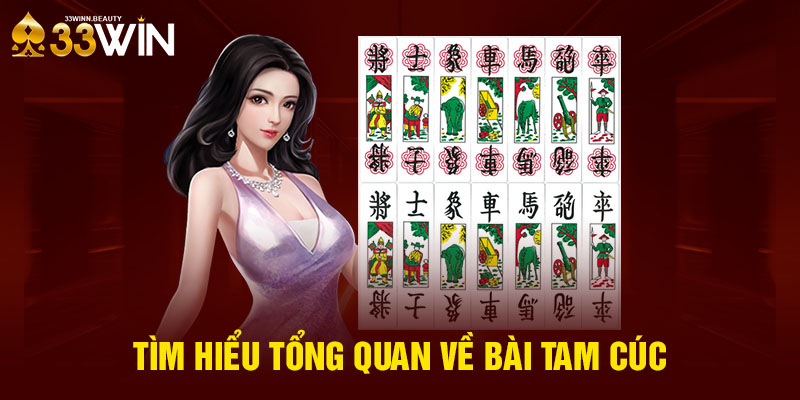 Tìm hiểu tổng quan về bài Tam Cúc