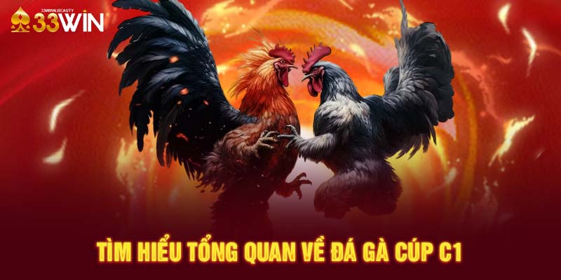 Tìm hiểu tổng quan về đá gà cúp C1