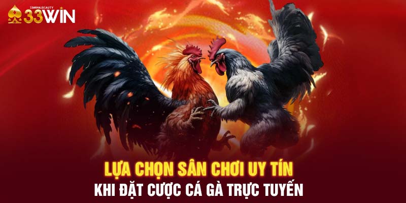 Lựa chọn sân chơi uy tín khi đặt cược cá gà trực tuyến