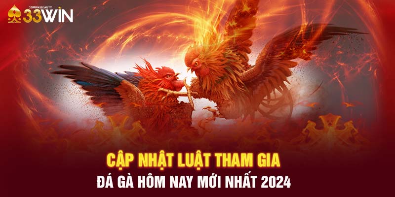 Cập nhật luật tham gia đá gà hôm nay mới nhất 2024